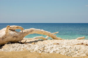 o_spiaggia-di-capo-bianco-isola-d-elba-0110